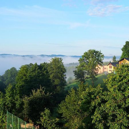 Penzion Pohodička Český Krumlov Esterno foto